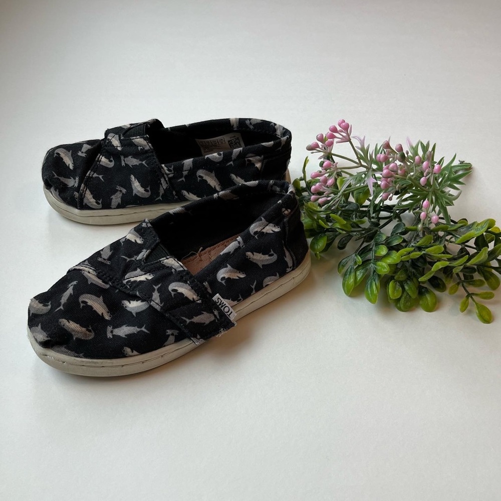 Size 9 Shark Toms
